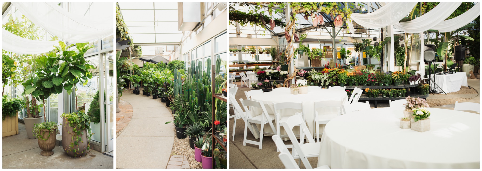 Cactus and Tropicals Wedding