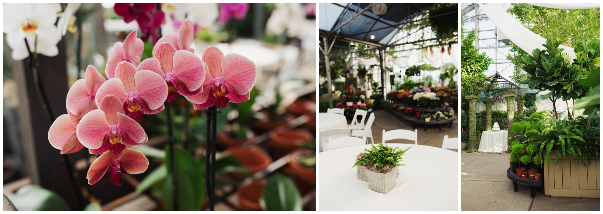 Cactus and Tropicals Wedding