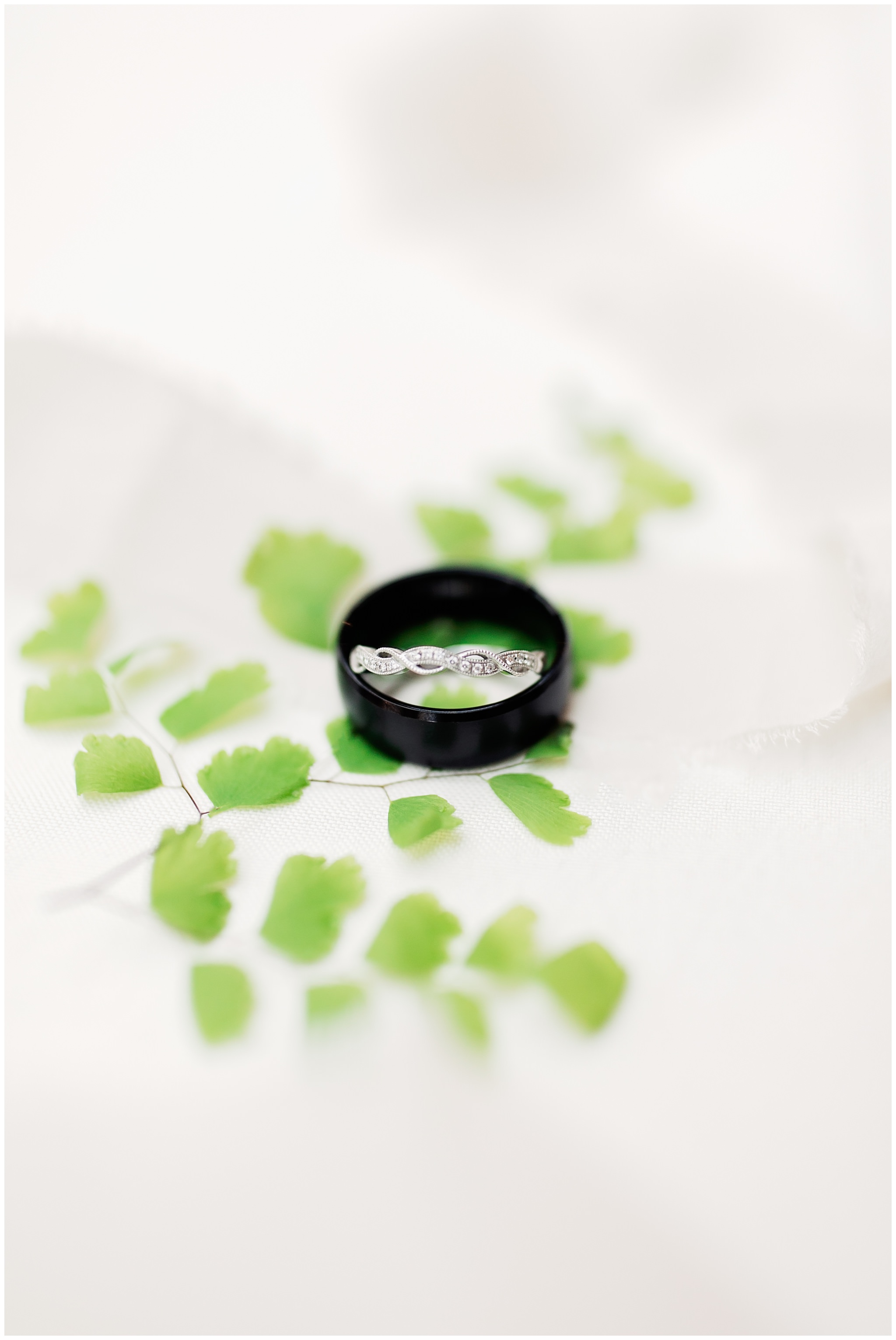 Cactus and Tropicals Wedding