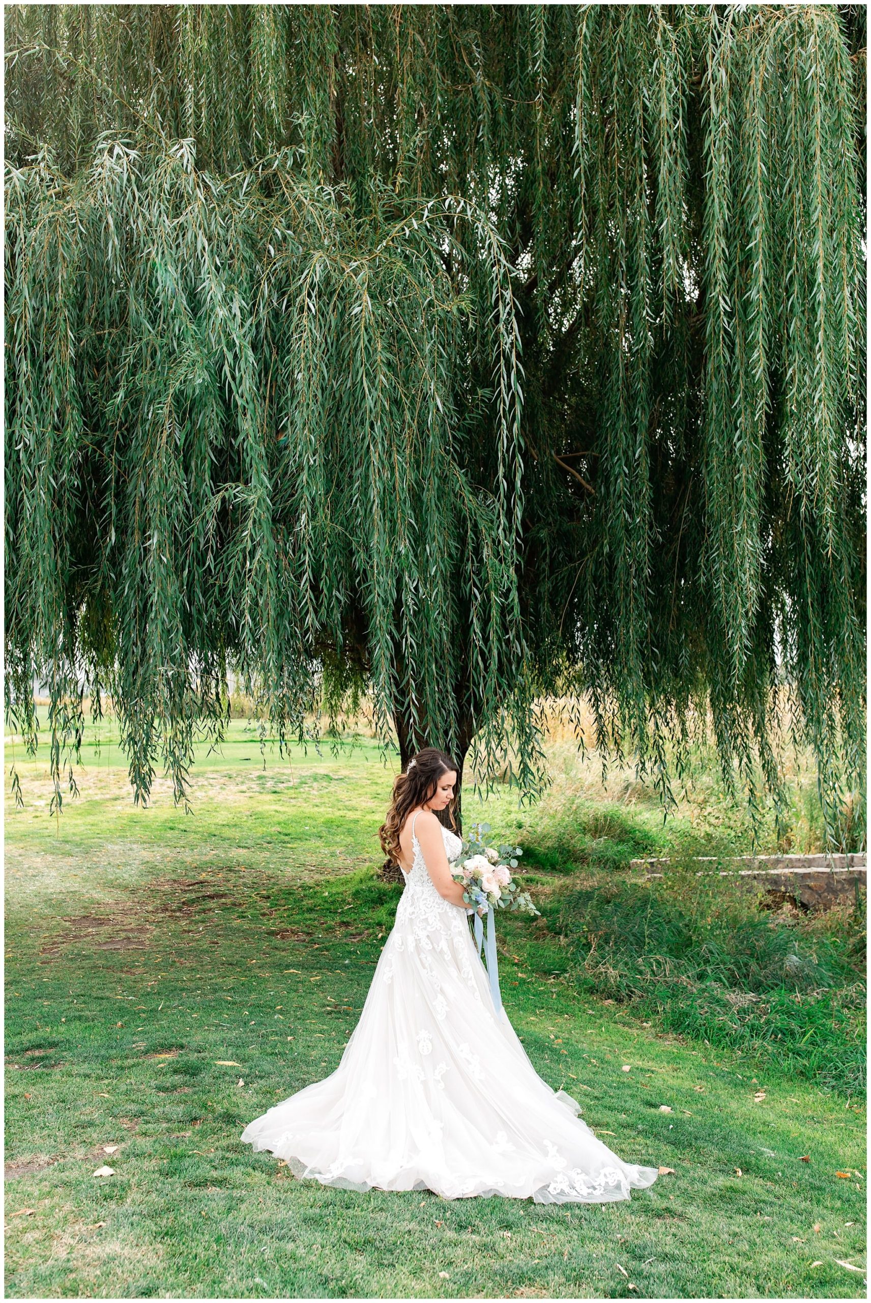 Bridal pictures under willow tree at Sleepy Ridge Wedding Venue